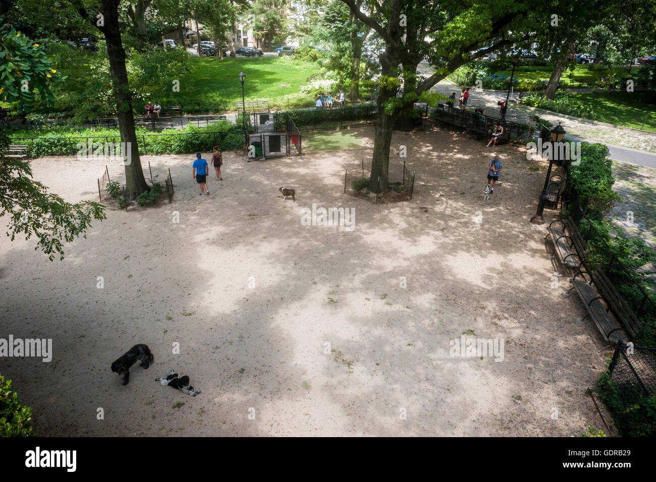 Il dog run in Theodore Roosevelt Park nella Upper West Side di New York di Domenica, 17 luglio 2016. (© Richard B. Levine) Foto Stock