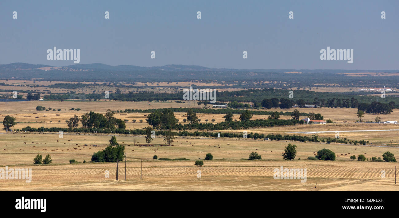 Paesaggio arido di Evora, Evora, distretto di Évora, Portogallo, Europa, viaggi, fotografia di viaggio Foto Stock