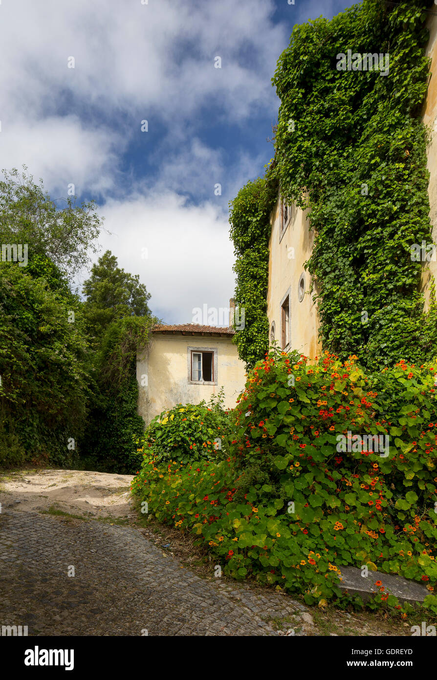 Vicolo in Sintra, Lisbona, Lisbona, Portogallo, Europa, Lisbona, Grande Lisbona, Portogallo, Europa, viaggi, fotografia di viaggio Foto Stock