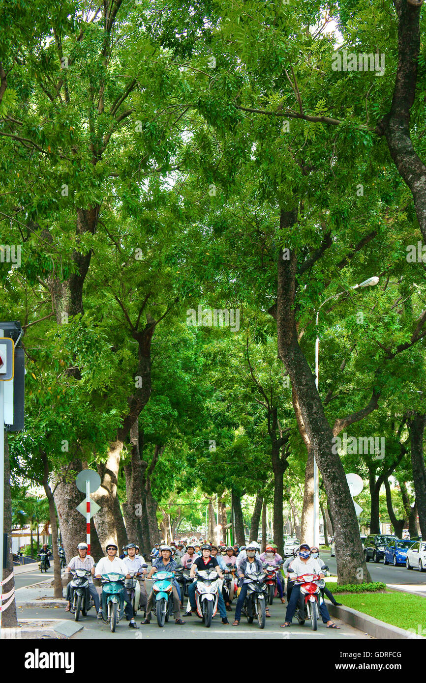 HO chi MINH CITY, VIET NAM- Oct 7: Aria fresca nella città asiatica, fila di grandi alberi su strada, gruppo di persone vietnamite in moto fermata a. Foto Stock