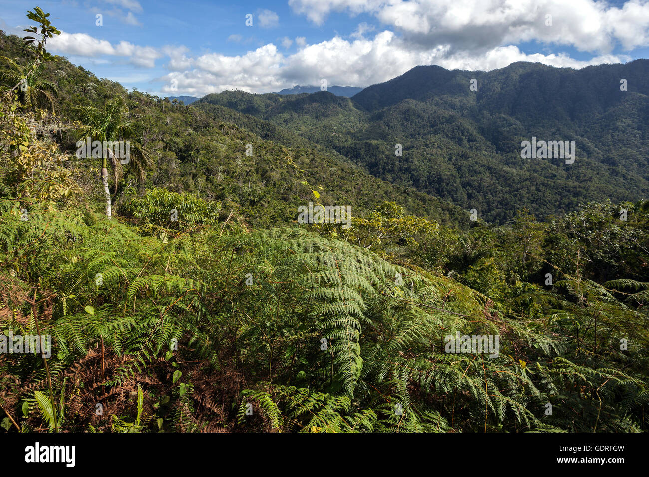 Vista del paesaggio di montagna in Turquino Parco Nazionale Sierra Maestra, provincia Granma, Cuba Foto Stock