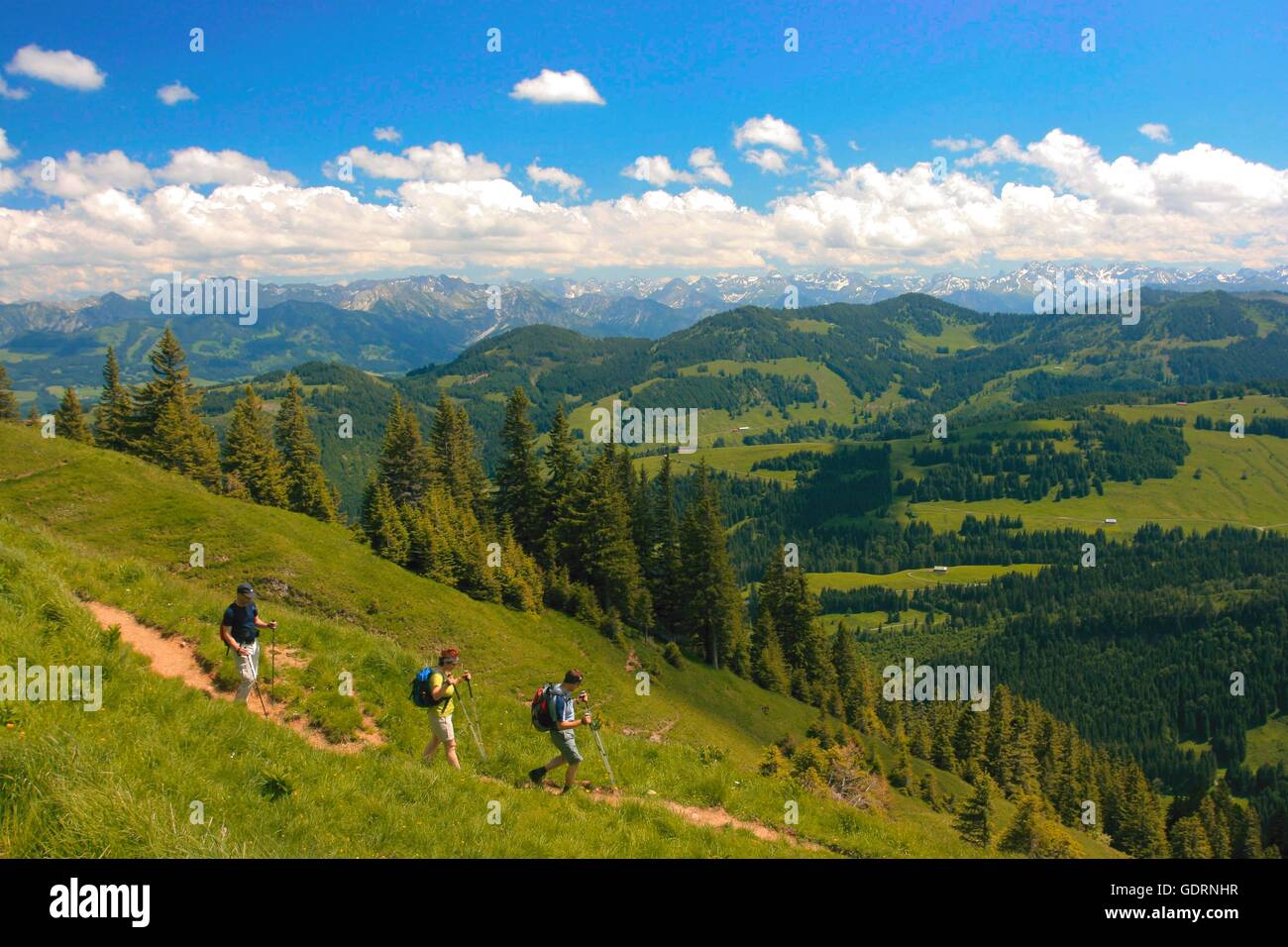 Geografia / viaggi, in Germania, in Baviera, paesaggi, Alpi gli escursionisti a Stuiben, Illertal, Additional-Rights-Clearance-Info-Not-Available Foto Stock