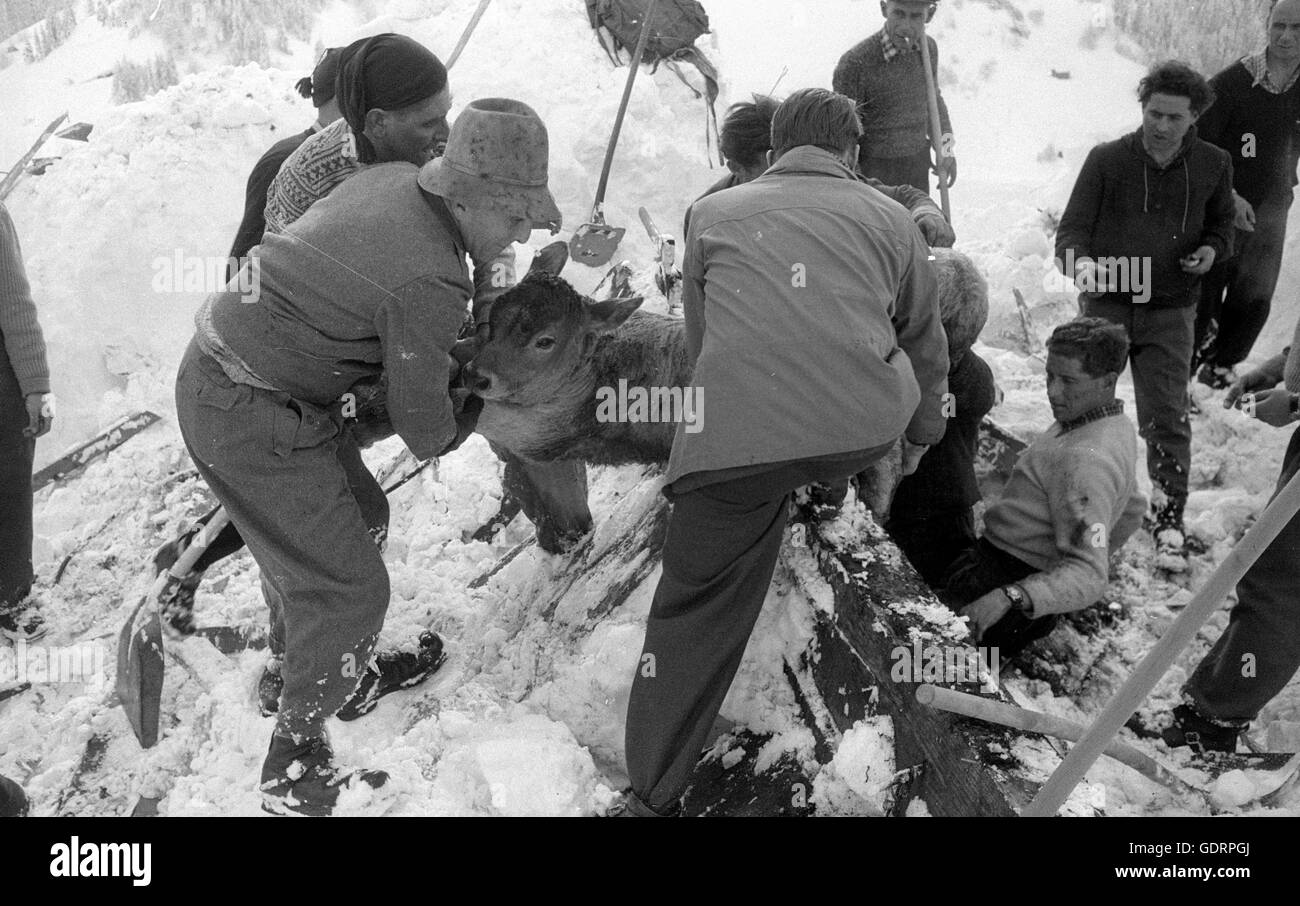 Dopo una valanga di soccorritori scavare la loro strada attraverso la neve per un edificio, 1958 Foto Stock