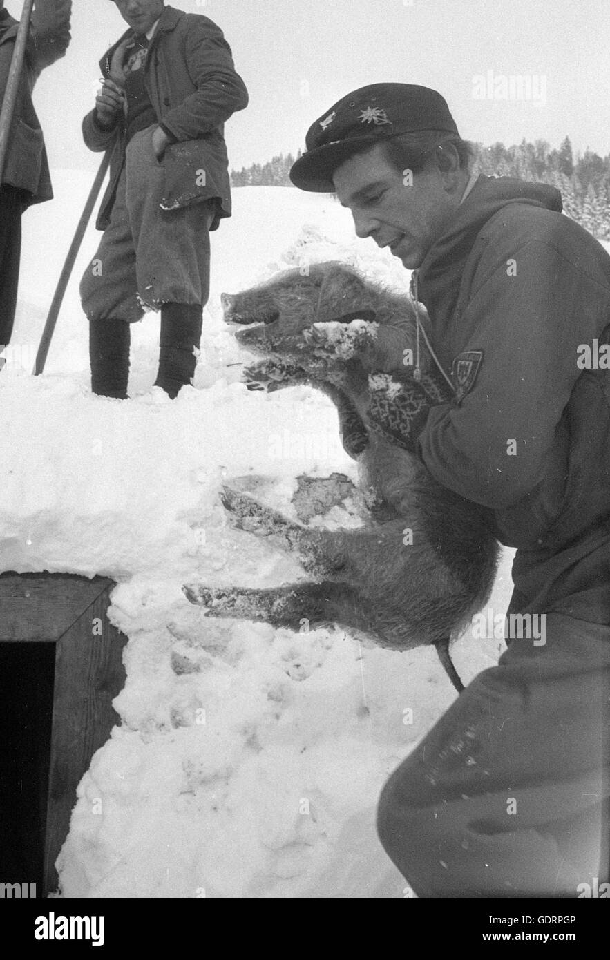 Dopo una valanga di soccorritori scavare la loro strada attraverso la neve per un edificio, 1955 Foto Stock