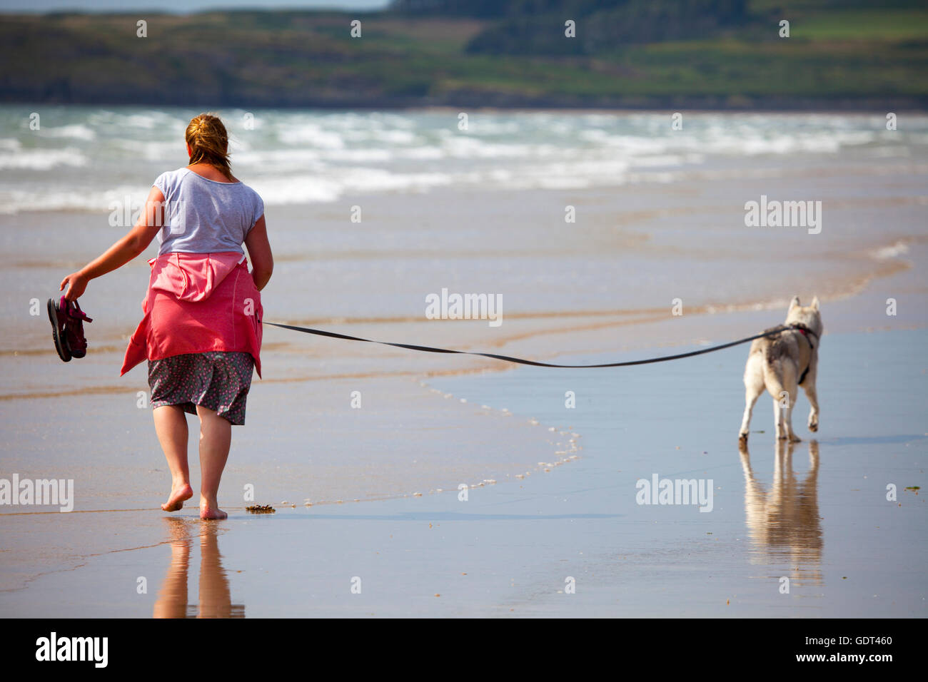Lone femmina qui a piedi di cani husky Newborough sulla spiaggia dell'isola di Anglesey nel Galles come ella pagaie in mare tenendo le sue scarpe Foto Stock