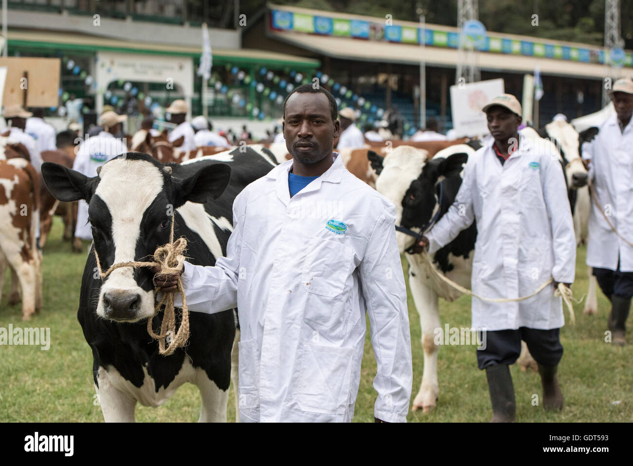 (160721) -- NAIROBI, luglio 21, 2016(Xinhua) -- Gli agricoltori mostrano le loro vacche durante una parata al 2016 gli allevatori mostrano a Nairobi, in Kenya, luglio 21, 2016. La tre-giorni 2016 Allevatori mostrano calci fuori in Kenya la città capitale di Nairobi giovedi, presentazione di vari contenuti nell'industria del bestiame del Kenya. Più di 100 espositori hanno partecipato a questa mostra zootecnica.(Xinhua/Sun Ruibo) Foto Stock