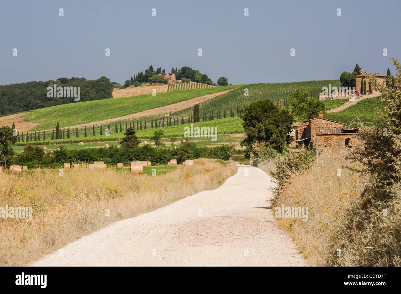 Offroad attraverso il paesaggio rurale e i campi della Toscana, Italia Foto Stock