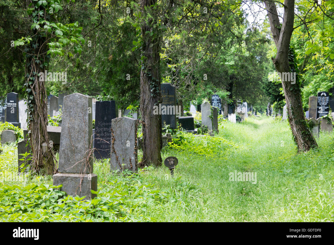Graves sulla sezione ebraica del cimitero centrale di Vienna in Austria Foto Stock