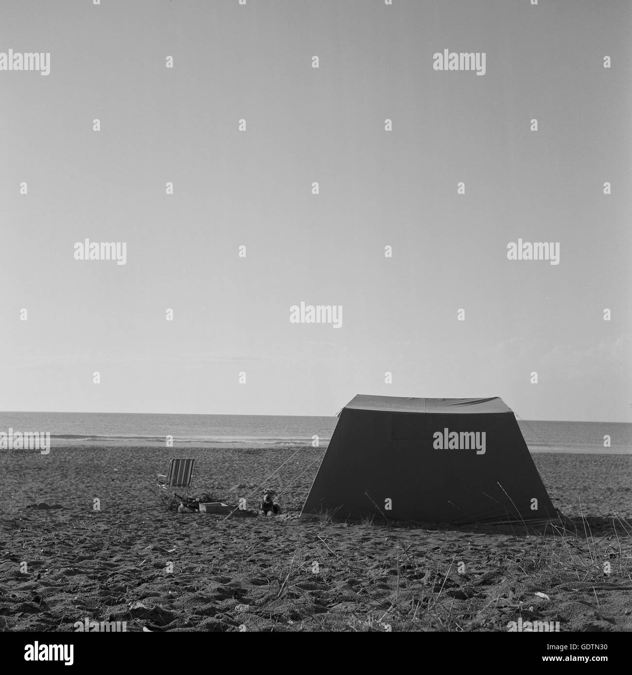 Spiaggia della Camargue, 1961 Foto Stock