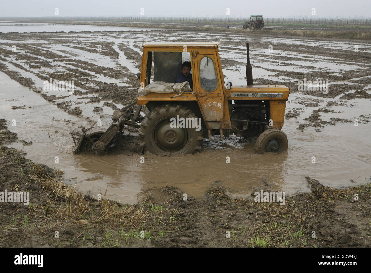 Agricoltori lavorano sulla loro terra a Dongtan di Chongming Island Foto Stock