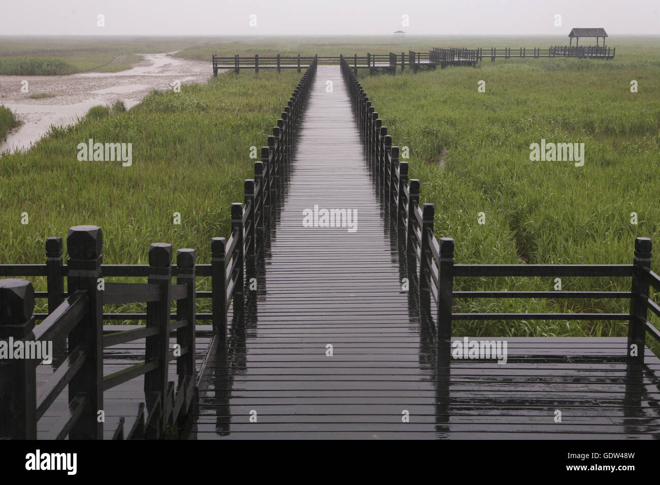 Area di osservazione per gli uccelli migratori a Dongtan di Chongming Island Foto Stock