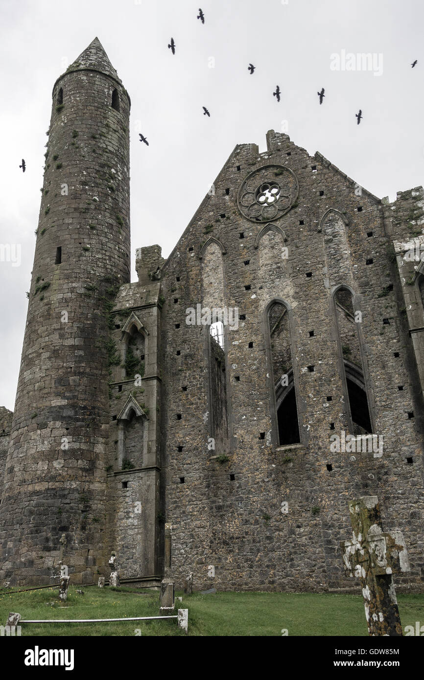 La Rocca di Cashel - Repubblica di Irlanda Foto Stock
