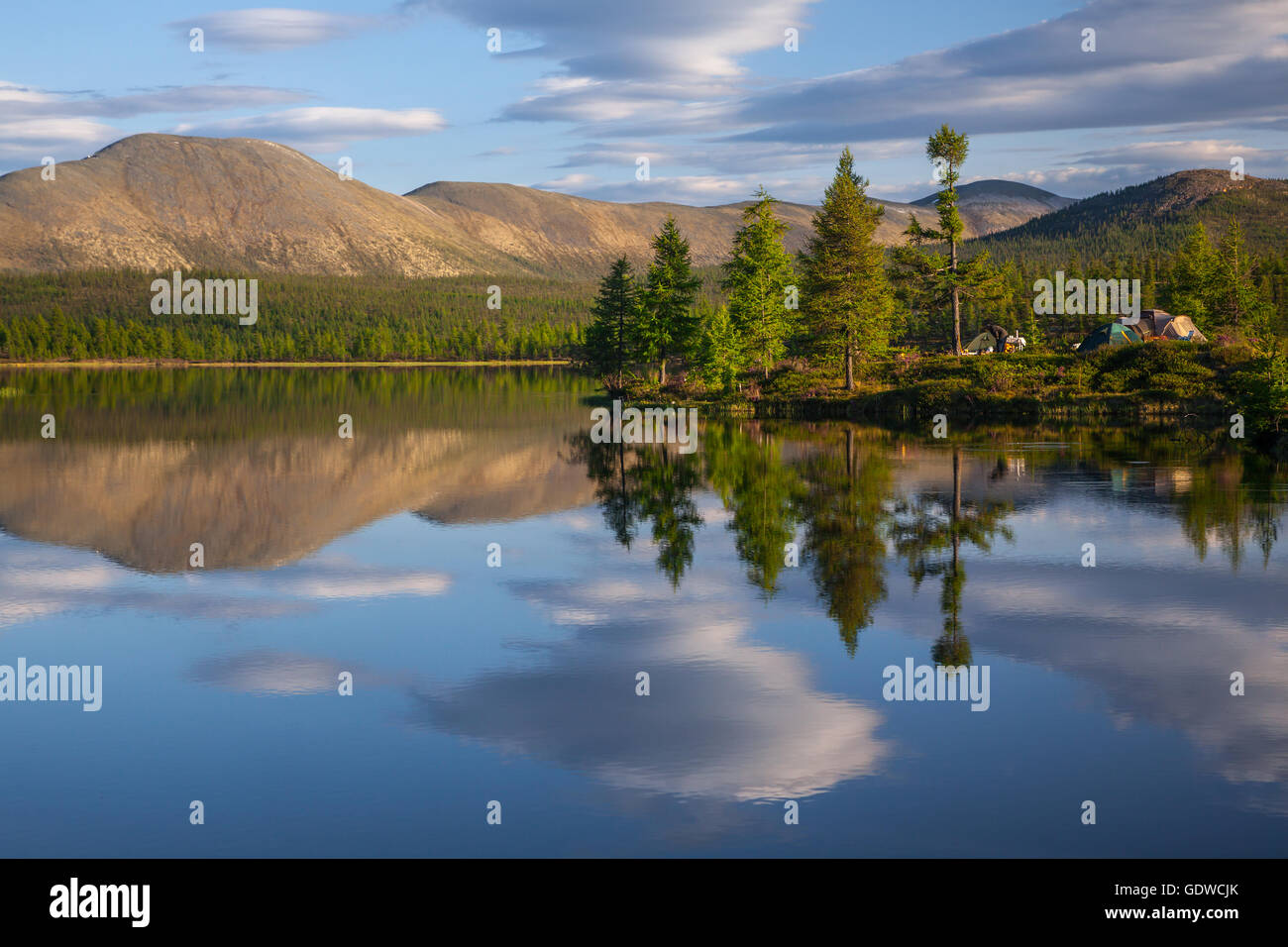 Alba sul flusso e pino camping al lago Foto Stock