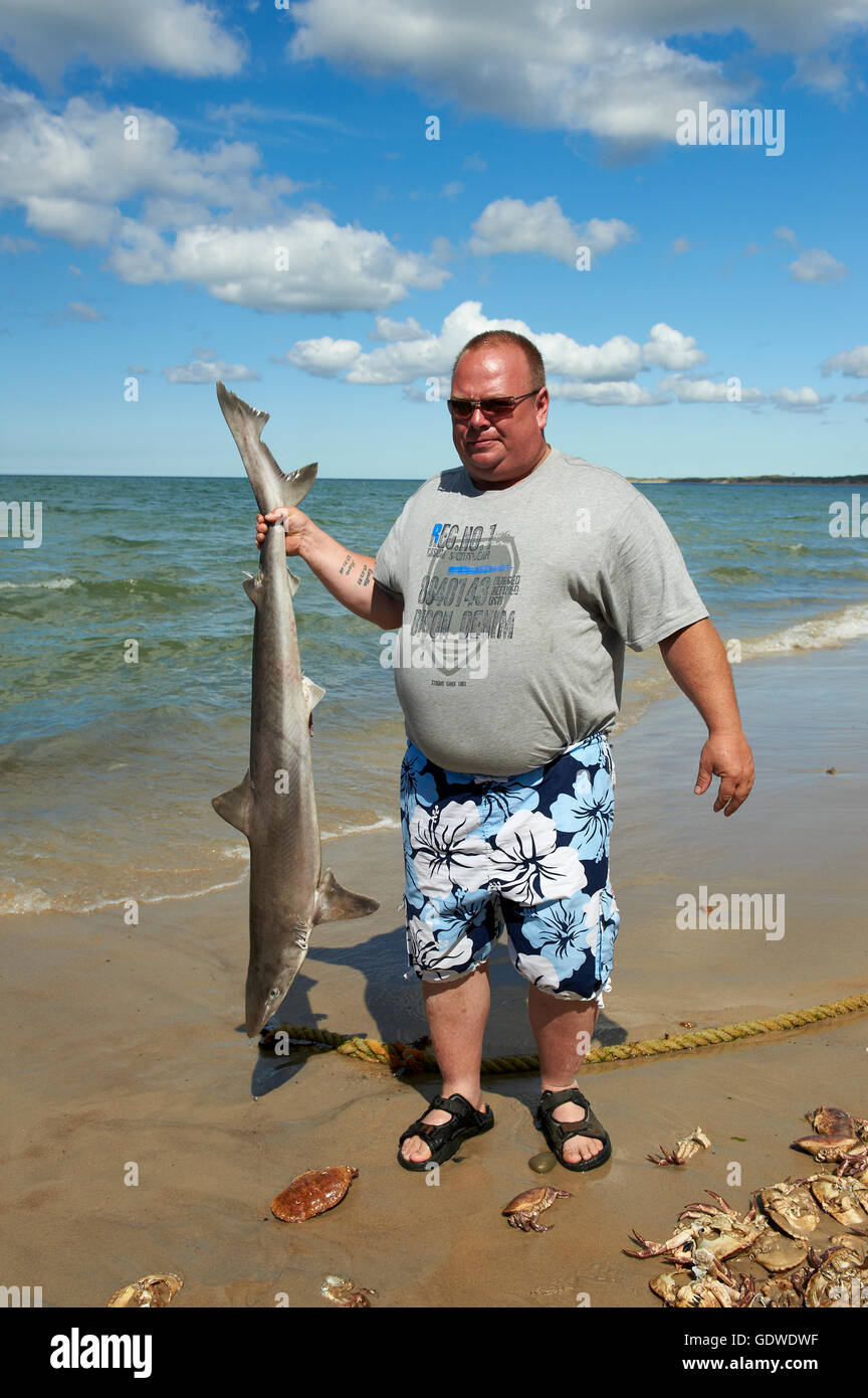 Uomo con un punto morto Smeriglio Squalo sulla spiaggia, catturati nella rete da pesca in mare Foto Stock