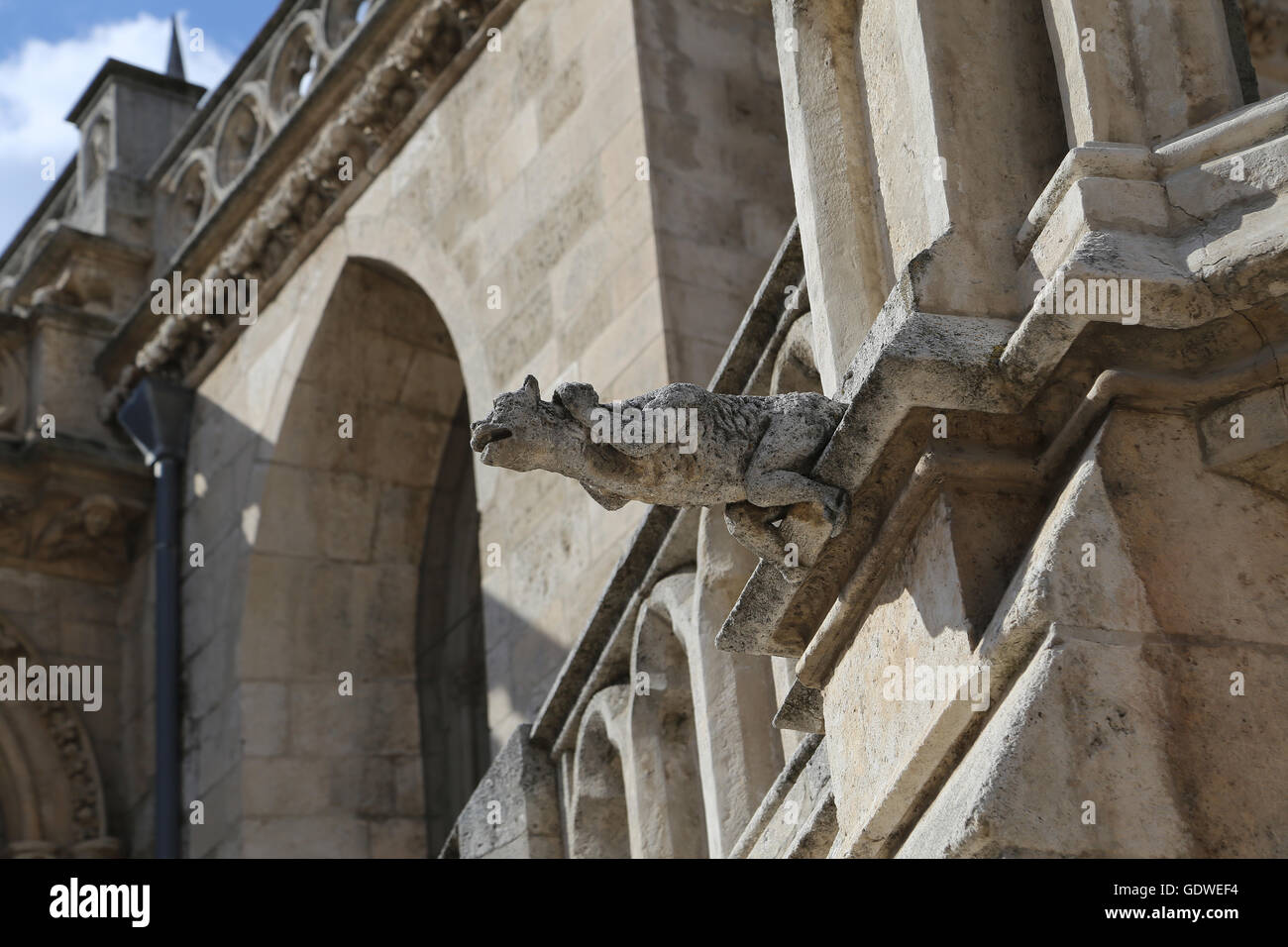Spagna. A Burgos. Cattedrale di Saint Mary. Gargoyle. Il XIII secolo. Gotico. Foto Stock
