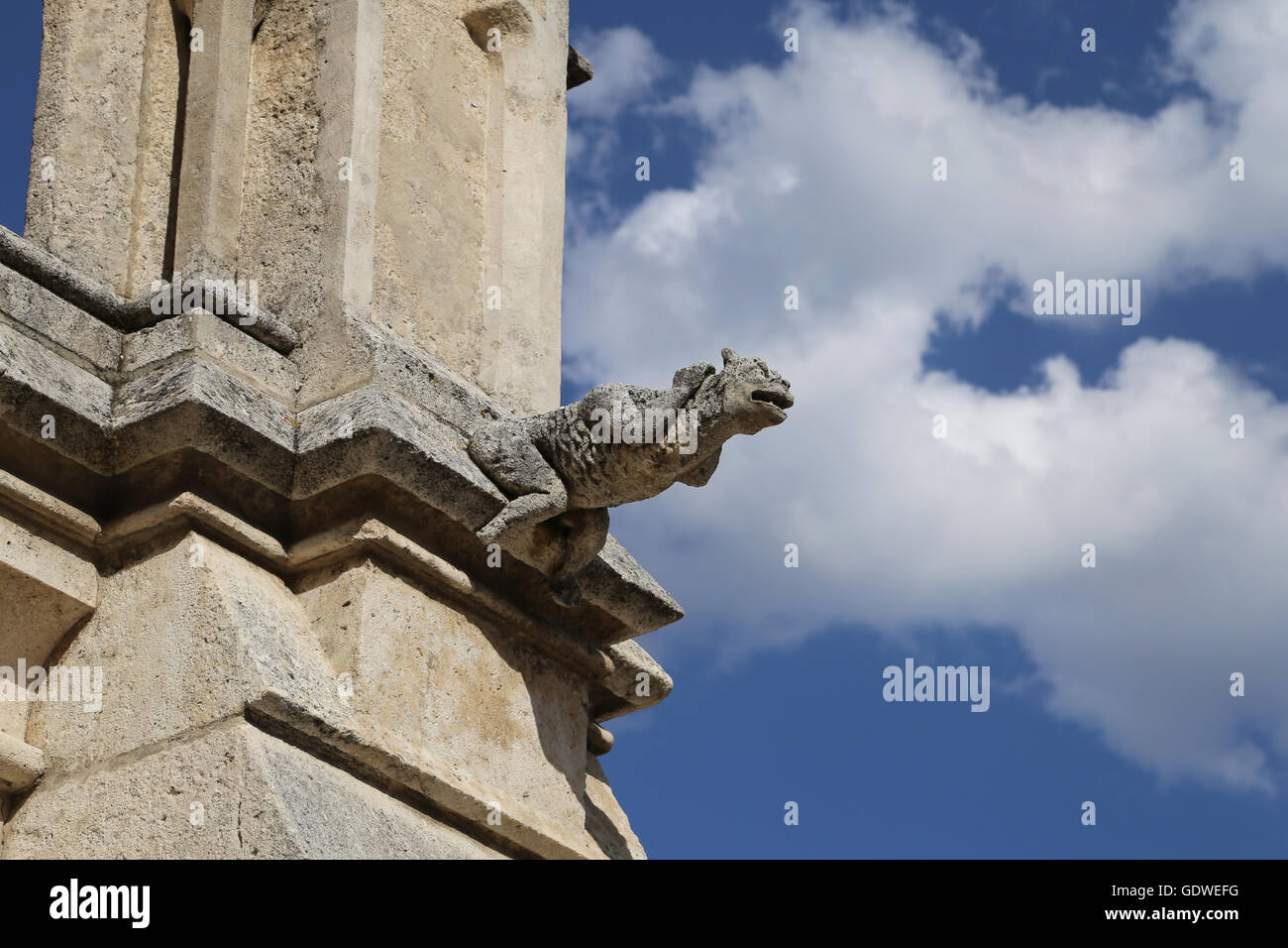 Spagna. A Burgos. Cattedrale di Saint Mary. Gargoyle. Il XIII secolo. Gotico. Foto Stock