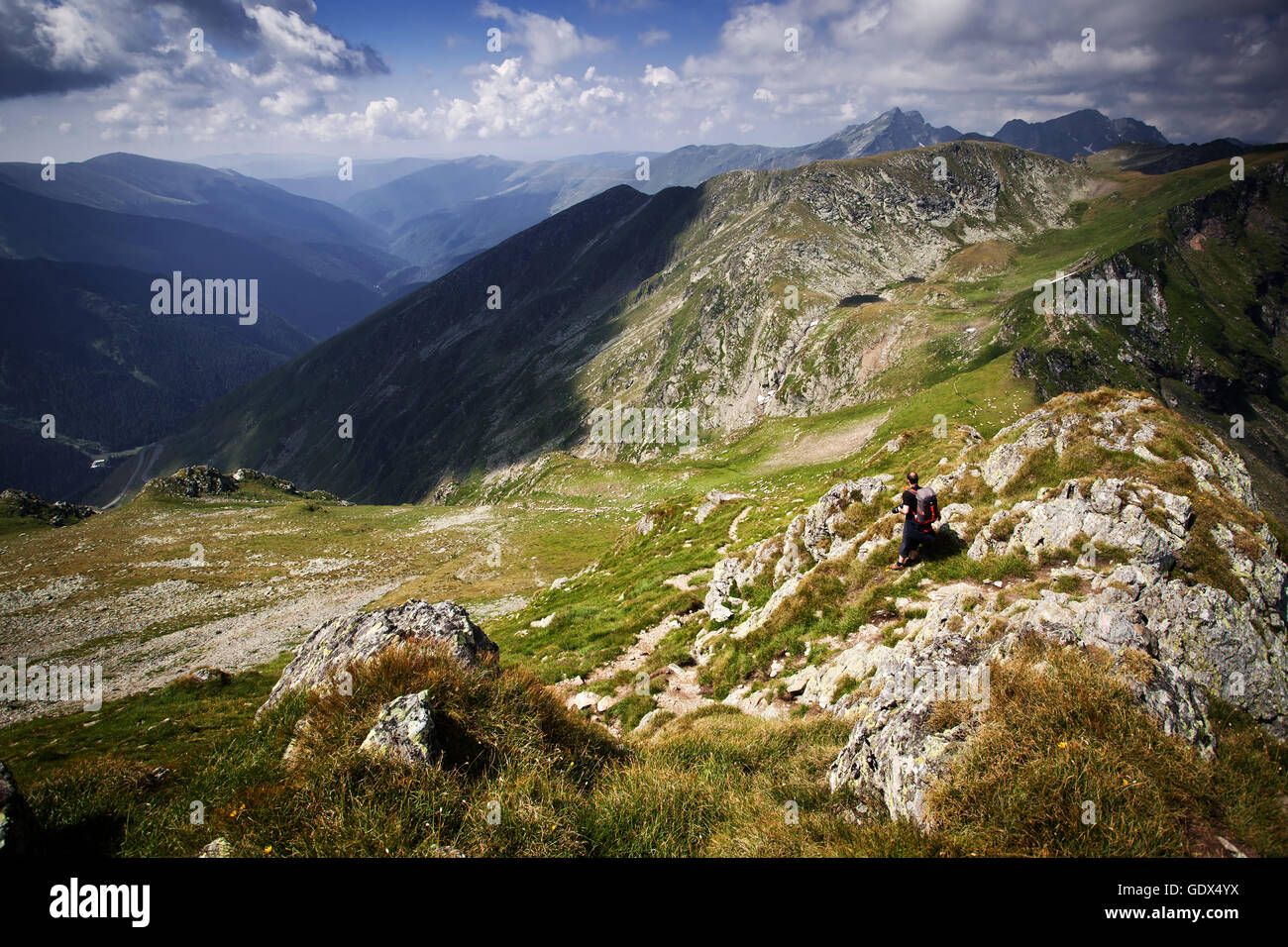 Monti Fagaras, Romania in estate Foto Stock