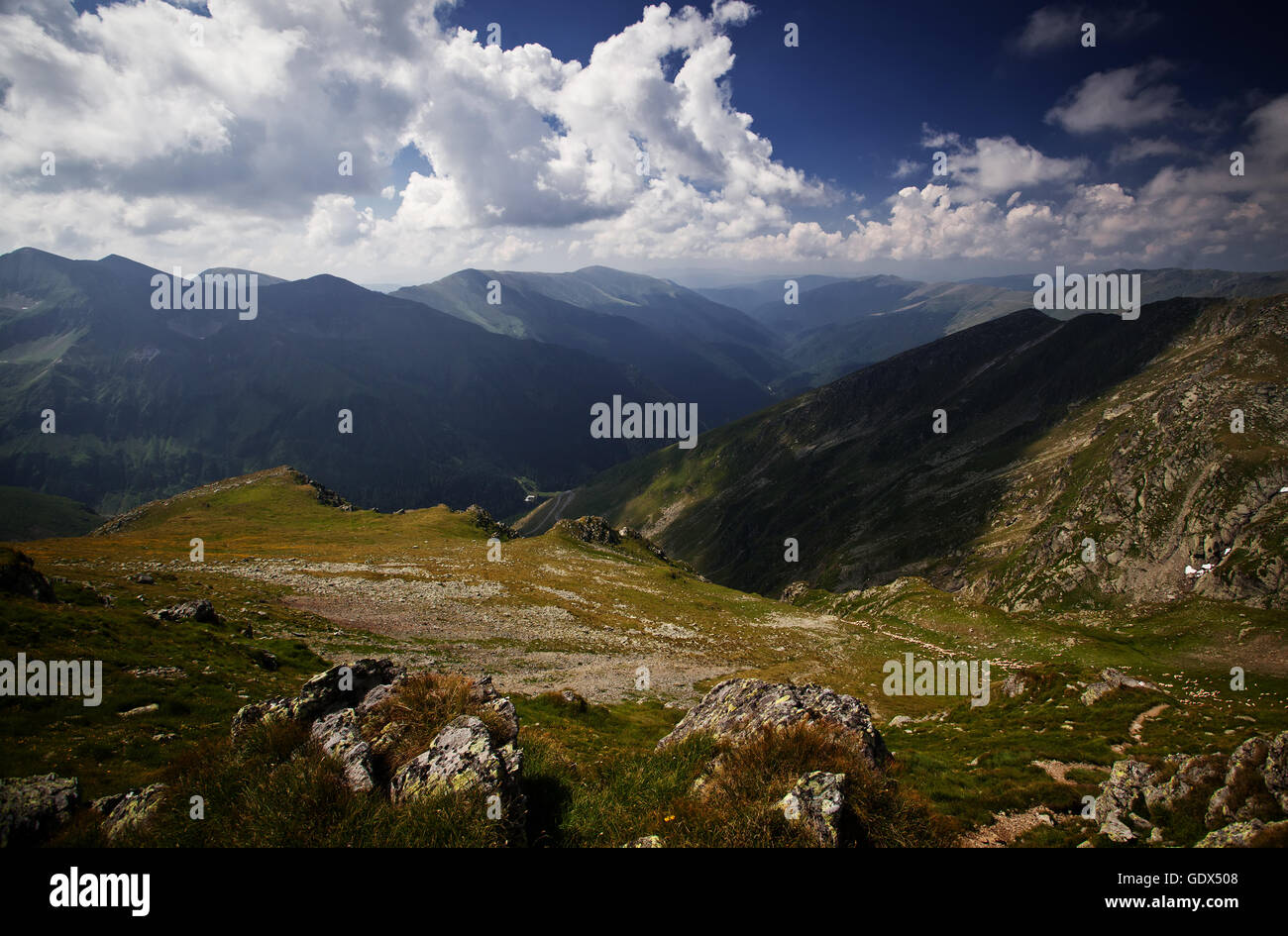 Monti Fagaras, Romania in estate Foto Stock