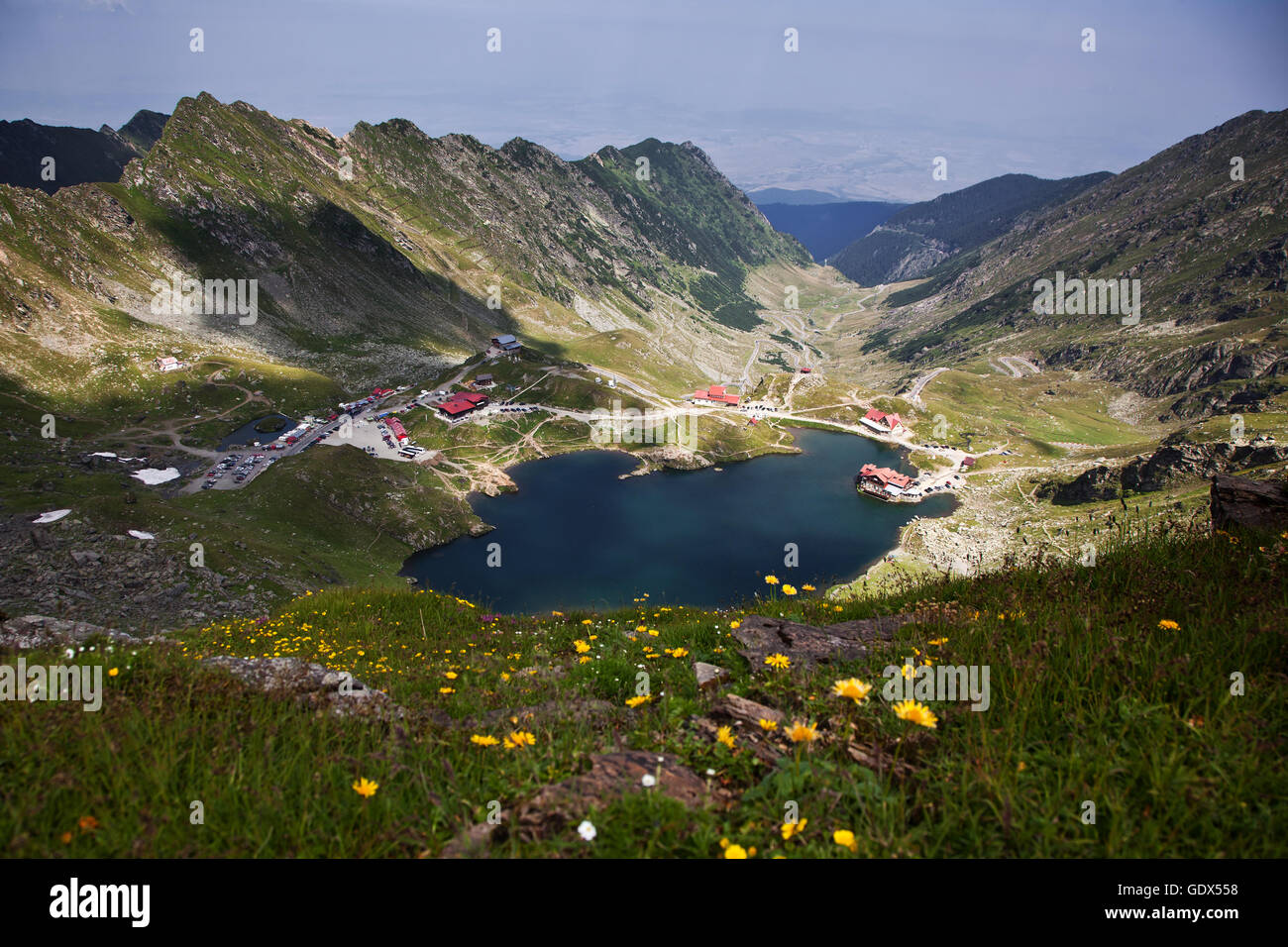 Monti Fagaras, Romania in estate Foto Stock