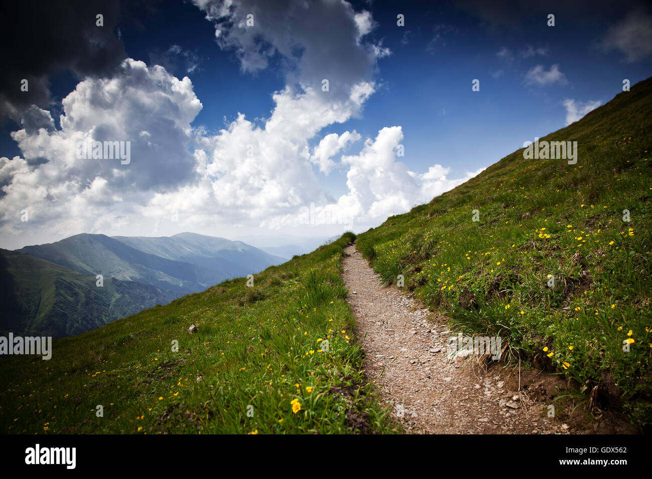 Monti Fagaras, Romania in estate Foto Stock