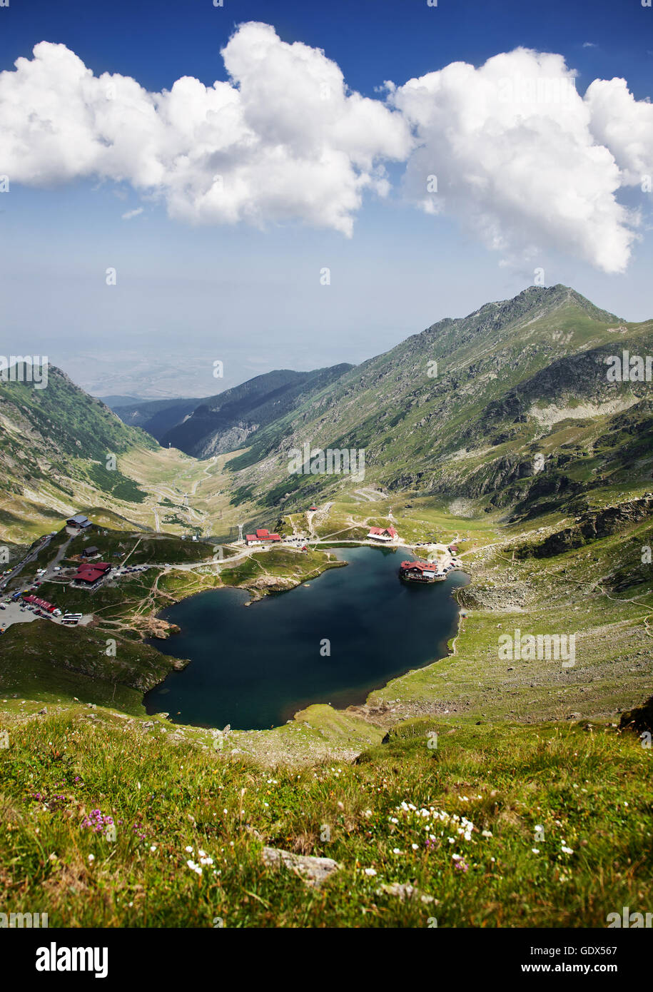 Monti Fagaras, Romania in estate Foto Stock