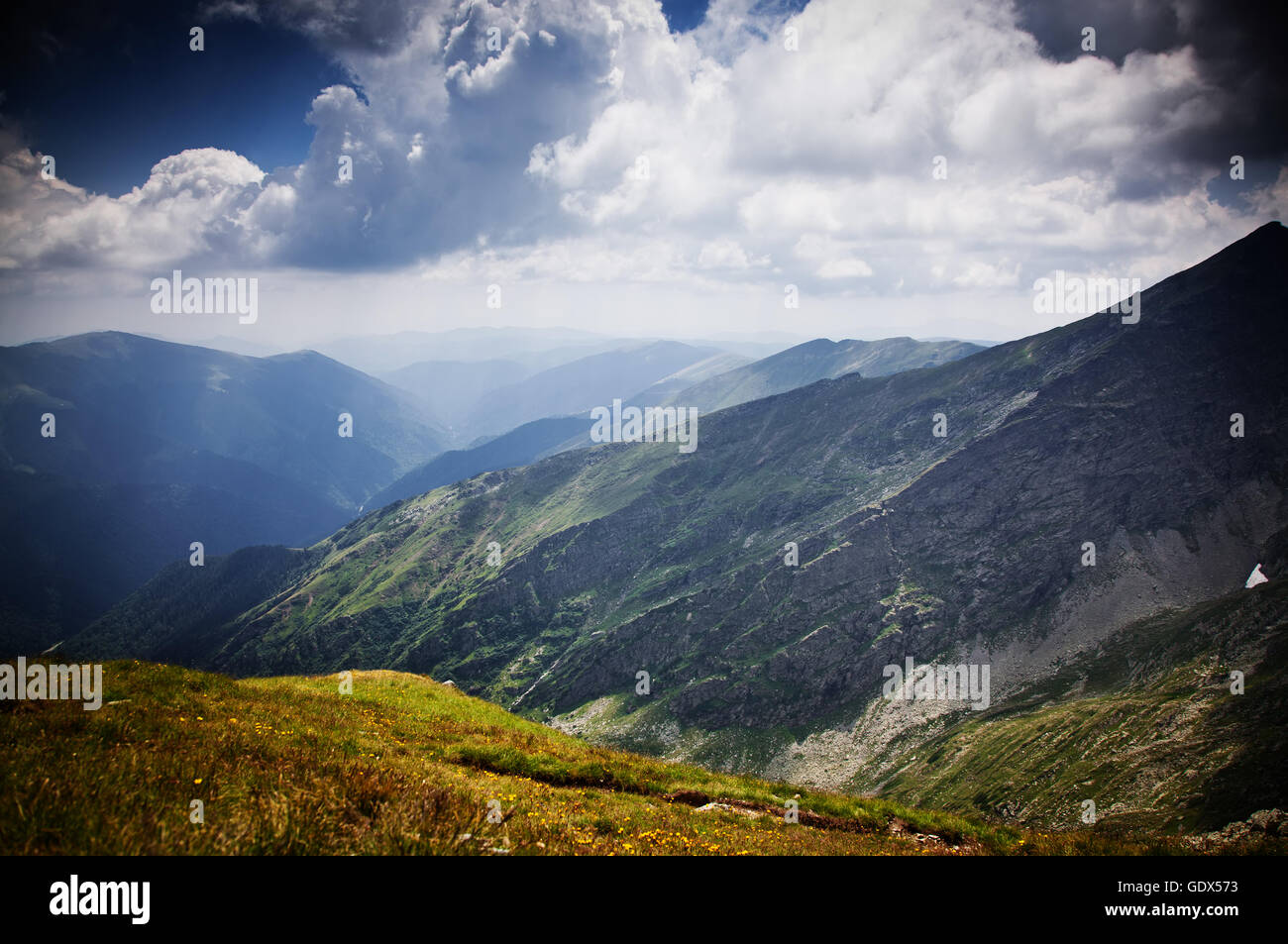 Monti Fagaras, Romania in estate Foto Stock
