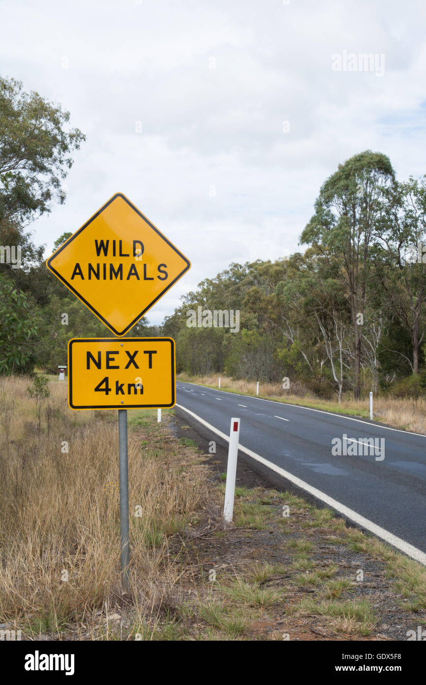Firmare i driver di avvertimento per essere consapevoli di animali selvatici di strada di attraversamento.sud est Queensland Australia Foto Stock