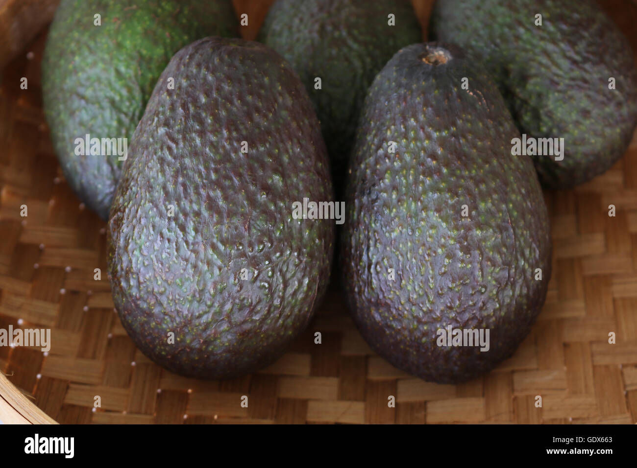 Appena raccolto di Avocado in una ciotola di tessuto Foto Stock