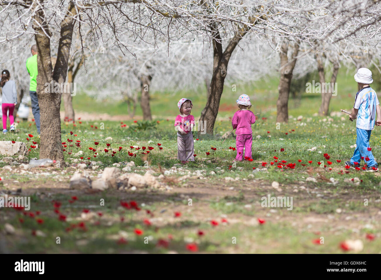 Bambini che giocano in giardino con papaveri in fiore Foto Stock