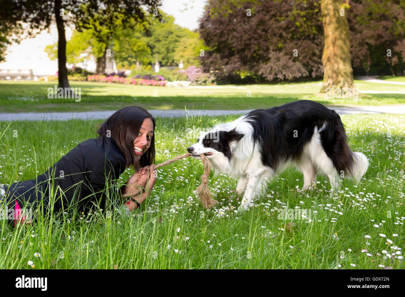Ridendo giovane donna cercando di vincere a corda tirando con il suo Border Collie cane Foto Stock
