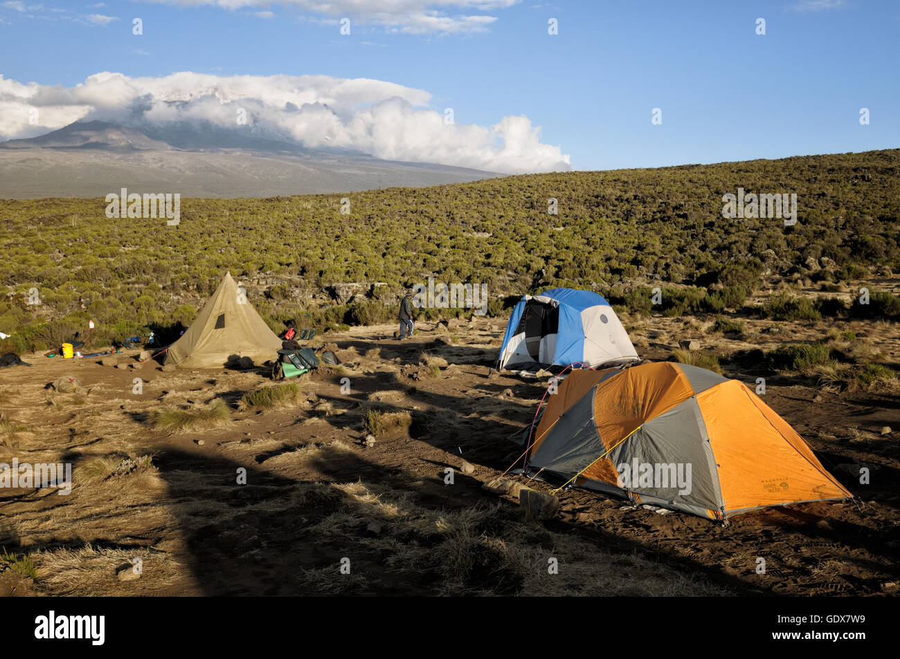 Tende a Shira 1 Camp con il picco di montagna in lontananza il Monte Kilimanjaro National Park, Tanzania Foto Stock