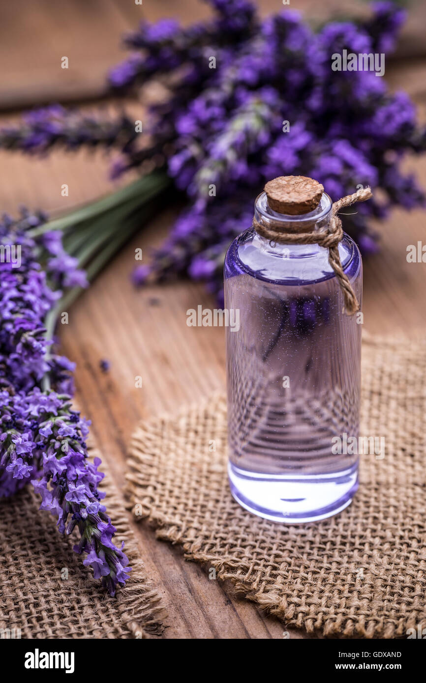 Olio essenziale e freschi di fiori di lavanda Foto Stock