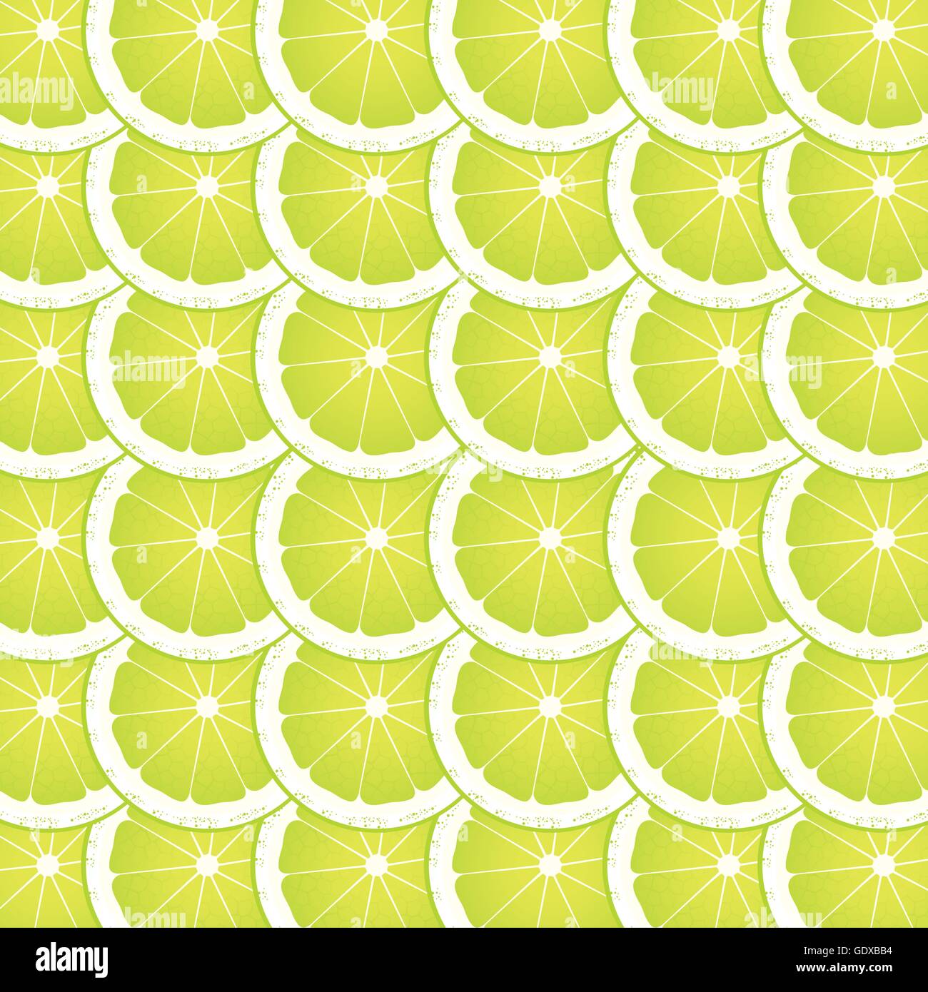 Fettine di lime sfondo vettoriale Illustrazione Vettoriale