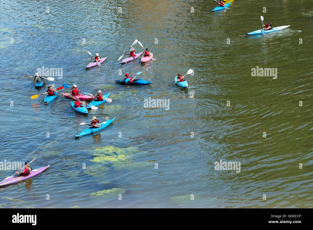 Bambini canoa e kayak sul fiume Ill, Strasburgo, Alsazia, Francia Europa Foto Stock