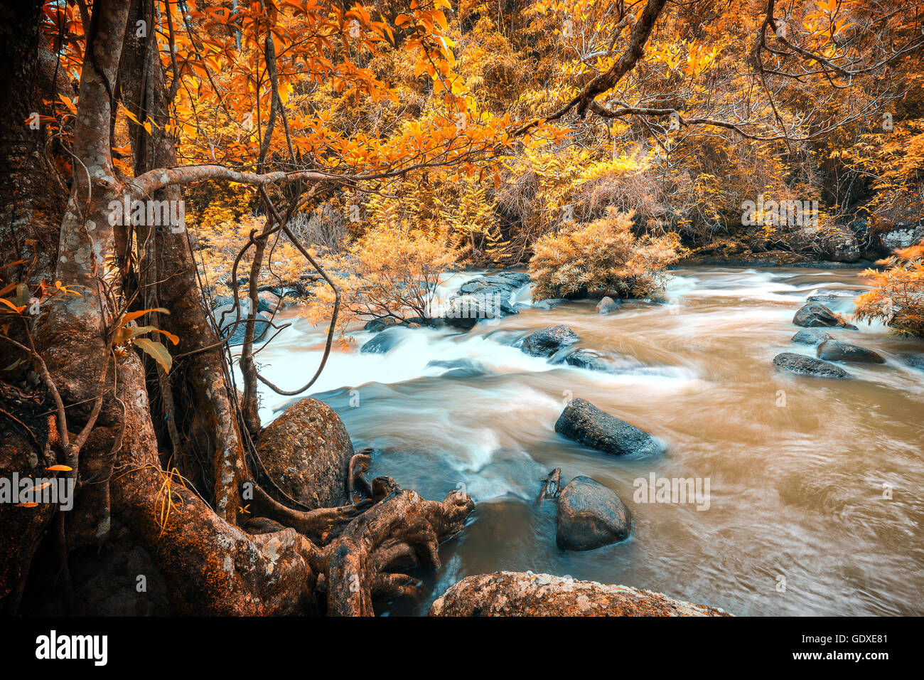 Bosco autunnale con motion blur di fango che scorre il fiume si muove attraverso le rocce. Esso è venuto dalla grande cascata all'interno della giungla. Foto Stock