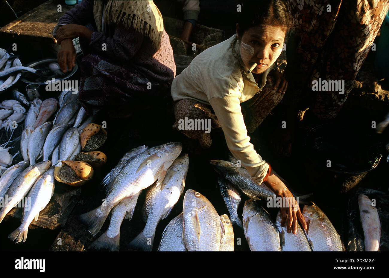 Venditore di pesce in Sittwe Foto Stock
