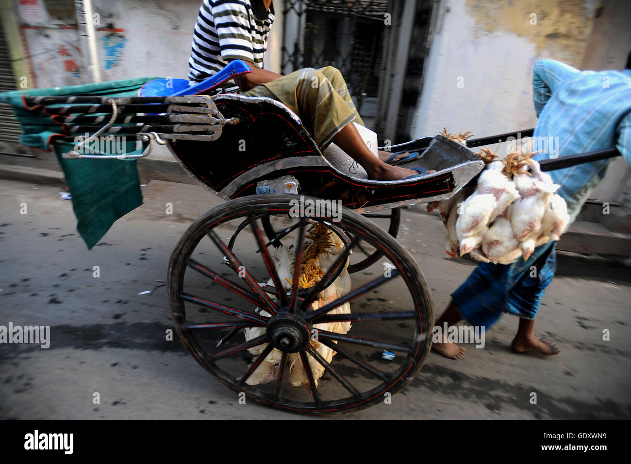 INDIA. Kolkata. 2011. In rickshaw estrattore Foto Stock