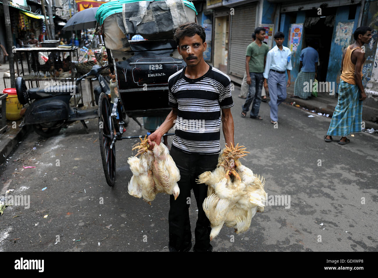 INDIA. Kolkata. 2011. In rickshaw di gallina Foto Stock