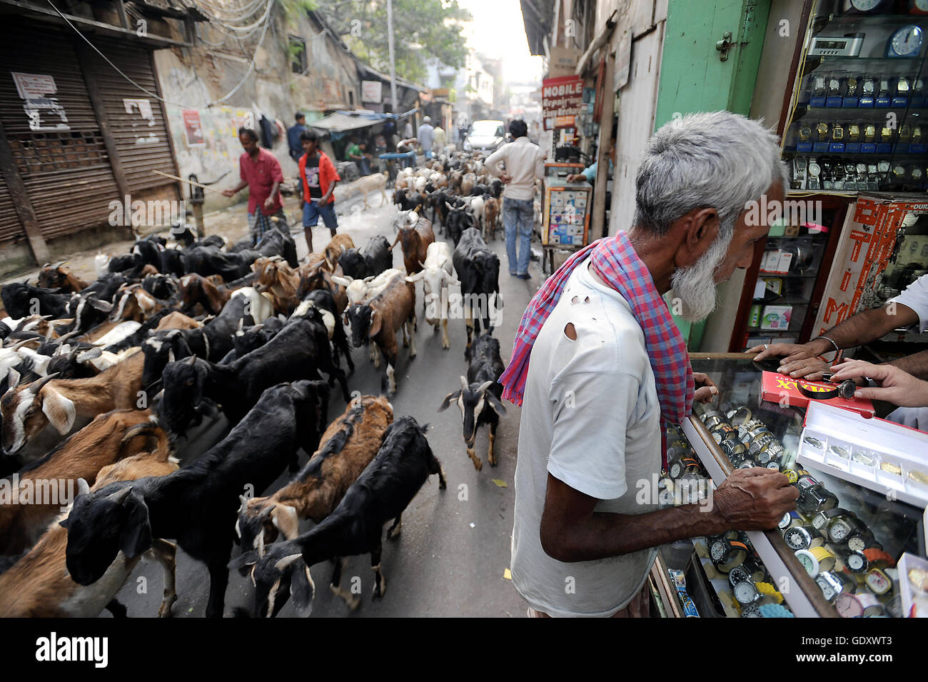 INDIA. Kolkata. 2011. In rickshaw estrattore Mohamed Foto Stock