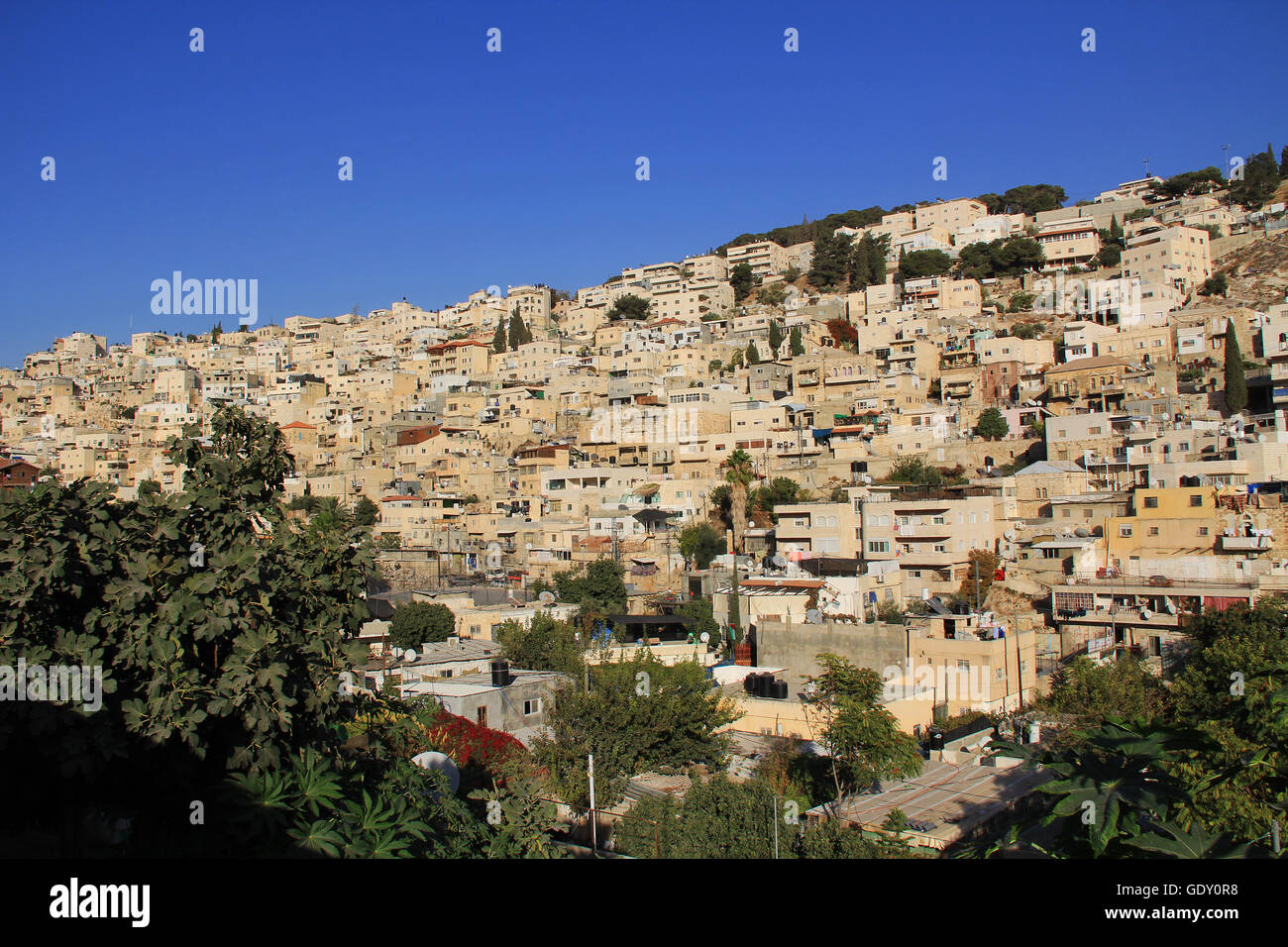 Case sul pendio di una collina in Israele come visto da vicino alla città vecchia di Gerusalemme. Foto Stock