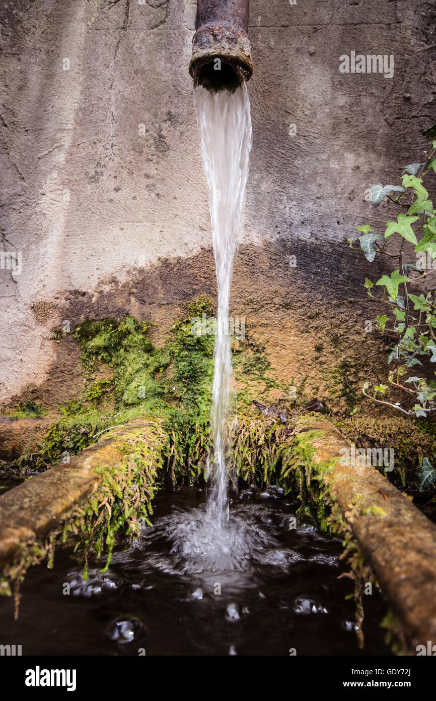 Un trafilamento di acqua cade in una vasca di vecchia pietra di muschio. Foto Stock