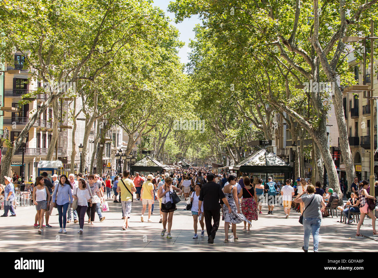 Spagna : Barcellona Barcellona è la capitale cosmopolita della Spagna Catalogna. Essa è definita da arte non convenzionale e un Foto Stock