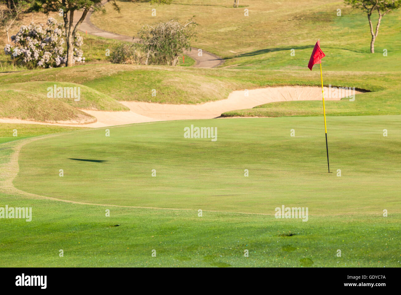 Golf Green flag foro stick con sabbia trappola paesaggio Foto Stock