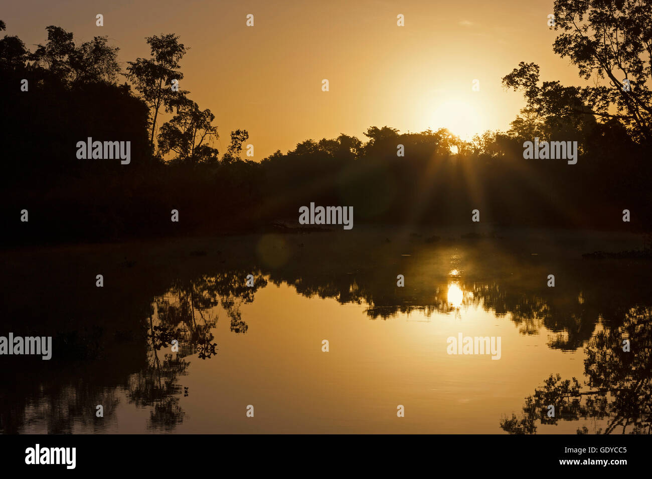 Vista panoramica del tramonto sul fiume fiume Orinoco, Delta Orinoco, Venezuela Foto Stock