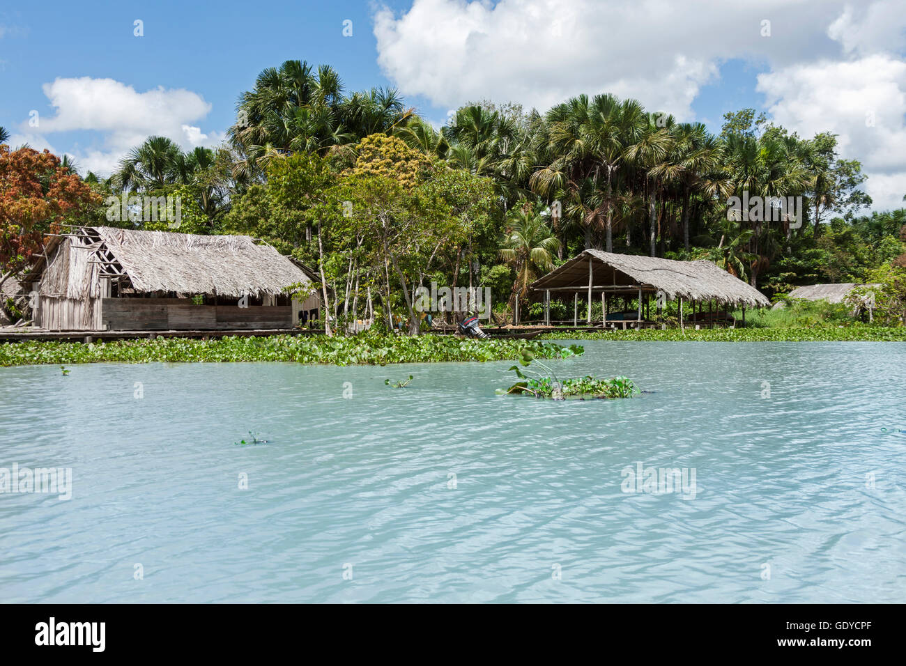 Case Warao-Indian capanne di paglia in un villaggio indigeno, Delta Orinoco, Venezuela Foto Stock