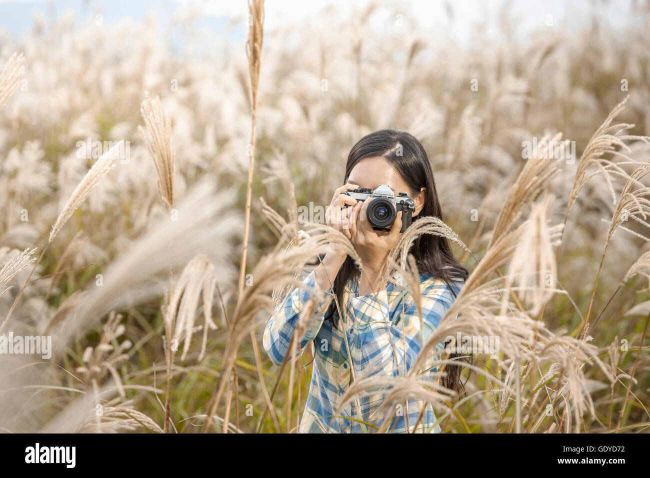 Ritratto di giovane donna sorridente di scattare una foto con una fotocamera in color argento per il campo in erba Foto Stock