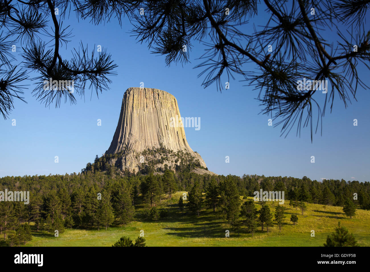 Geografia / viaggi, STATI UNITI D'AMERICA, la Devils Tower, Devils Tower National Monument, Wyoming, questo è un indiano luoghi religiosi ed è anche famosa per arrampicatori., Additional-Rights-Clearance-Info-Not-Available Foto Stock