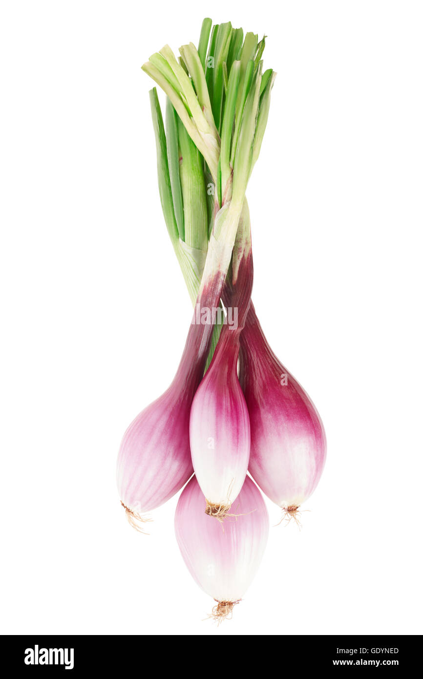 Uomo Che Taglia Cipolla Rossa Fotografia Stock - Immagine di culinario,  tabella: 30925054