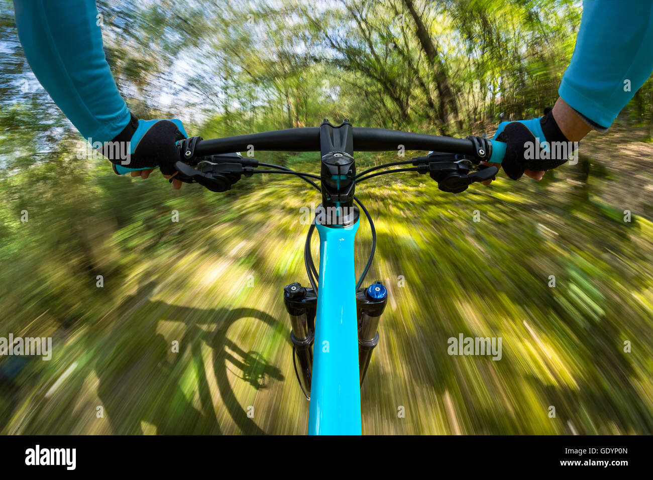 Dinamica veloce in bicicletta nei boschi Foto Stock