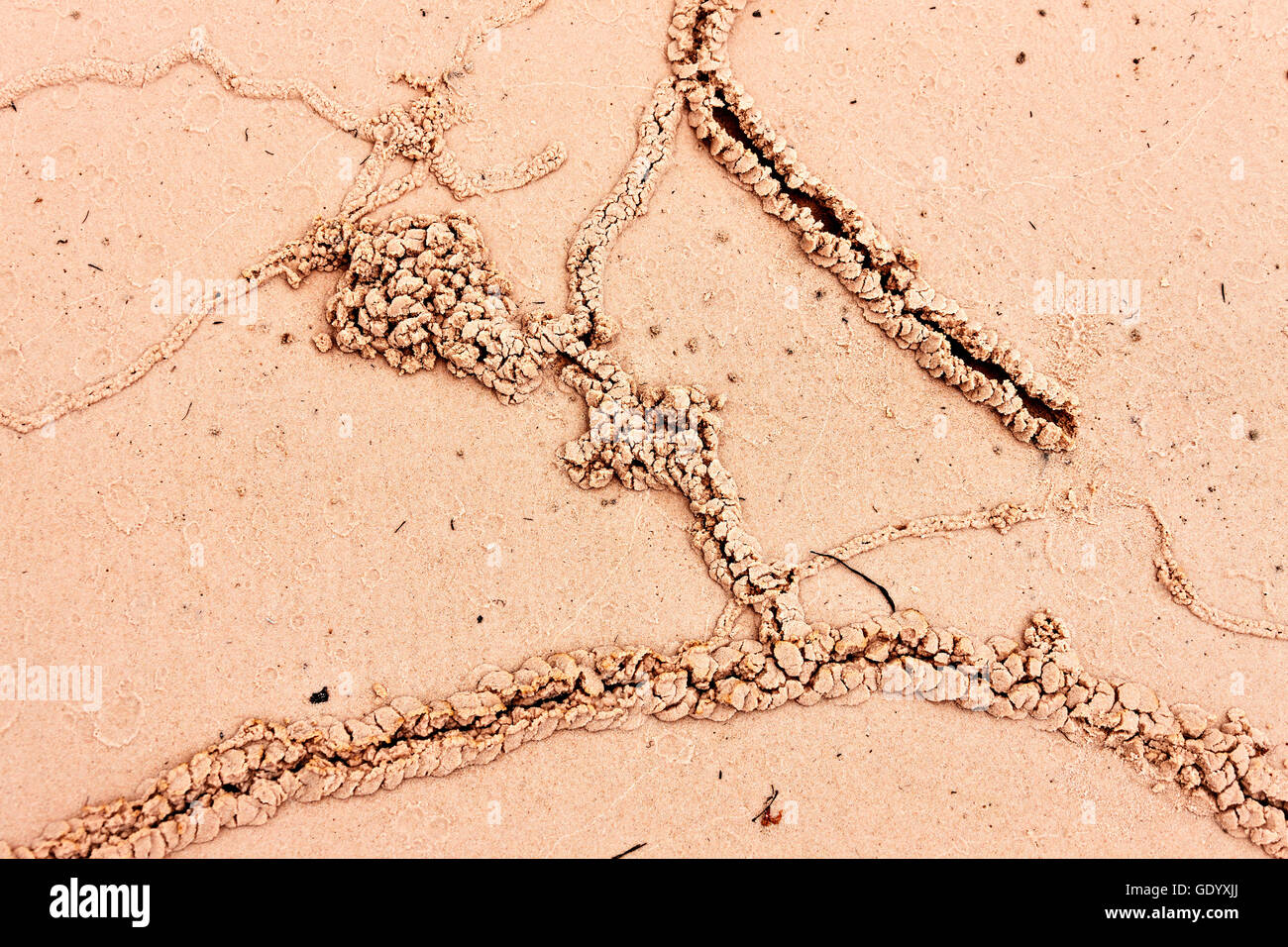 Impronta sulla spiaggia, il Parco Nazionale di Canaima, Venezuela Foto Stock